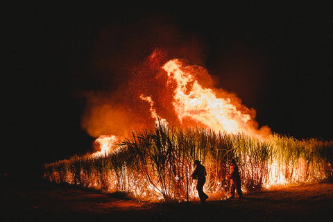 Sweet Days, Hot Nights Festival - Accommodation Rockhampton 1