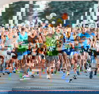 The Canberra Times Marathon Festival - Accommodation Rockhampton