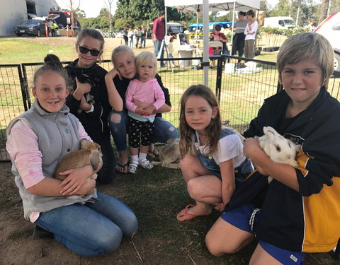 Whittlesea Monday Market - Accommodation Rockhampton 1