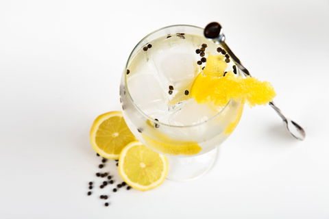 Online Live Streaming Class: Make Four Gin Cocktails - Accommodation Rockhampton 0