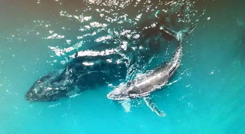 Ningaloo Lodge Exmouth - Accommodation Rockhampton 0