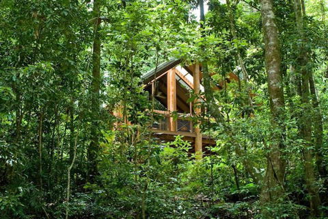 The Canopy Rainforest Treehouses And Wildlife Sanctuary - Accommodation Rockhampton 1