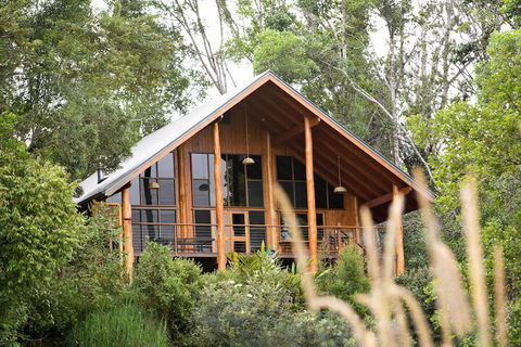 The Canopy Rainforest Treehouses And Wildlife Sanctuary - Accommodation Rockhampton 2