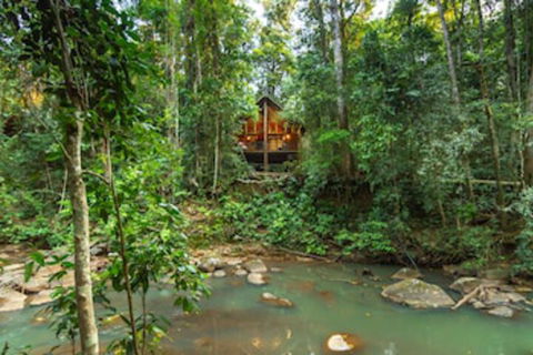 The Canopy Rainforest Treehouses And Wildlife Sanctuary - Accommodation Rockhampton 0