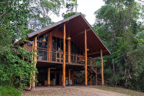 The Canopy Rainforest Treehouses And Wildlife Sanctuary - Accommodation Rockhampton 3