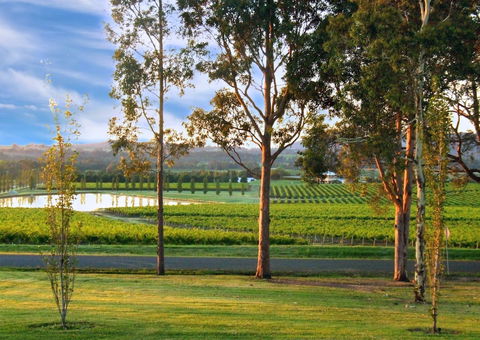 Estate Tuscany - Accommodation Rockhampton 6
