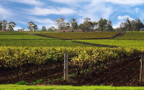 Estate Tuscany - Accommodation Rockhampton 3