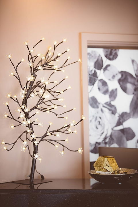 Garden Lodge Sydney - Accommodation Rockhampton 2