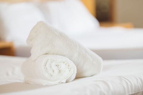 Garden Lodge Sydney - Accommodation Rockhampton 4