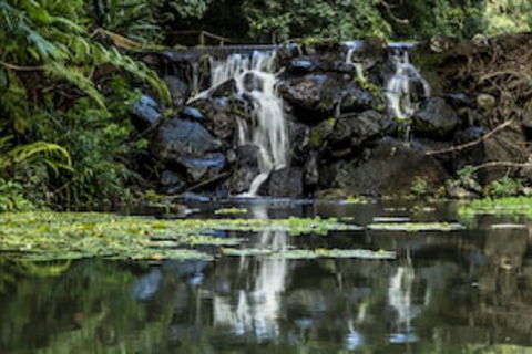 Kondalilla Eco Resort - Accommodation Rockhampton 0