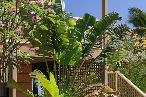 Ibis Styles Port Hedland - Accommodation Rockhampton 3