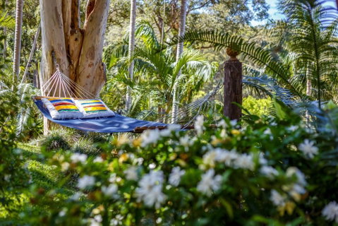 Sensom Luxury Bed & Breakfast - Accommodation Rockhampton 3
