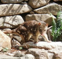 Jenolan Caves House - Accommodation Rockhampton