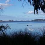 Lilacs Waterfront Villas & Cottages - Accommodation Rockhampton 0