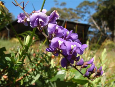 The Coombe On Wilson Inlet - Accommodation Rockhampton 4