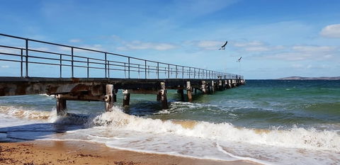 Port Lincoln Caravan Park - Accommodation Rockhampton 3