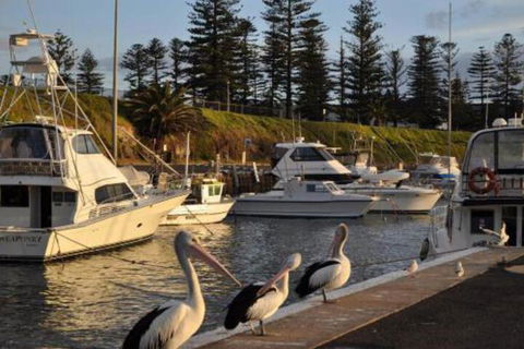 Nautica - Accommodation Rockhampton 2