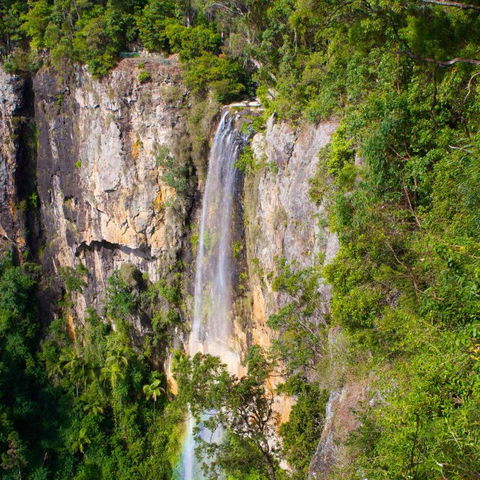 The Sanctuary At Springbrook - Accommodation Rockhampton 5