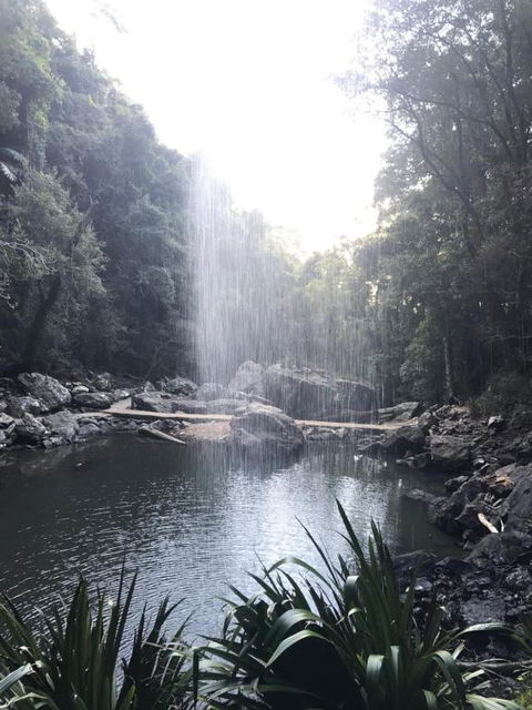 The Sanctuary At Springbrook - Accommodation Rockhampton 2