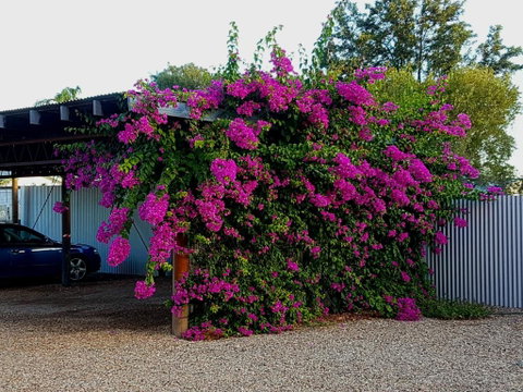 Broken Hill Outback Church Stay - Accommodation Rockhampton 2