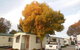 Wodonga Caravan & Cabin Park - thumb 0
