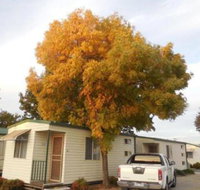 Wodonga Caravan  Cabin Park - Accommodation Rockhampton