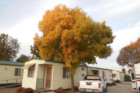 Wodonga Caravan & Cabin Park - Accommodation Rockhampton 0