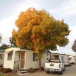 Wodonga Caravan & Cabin Park - Accommodation Rockhampton 1