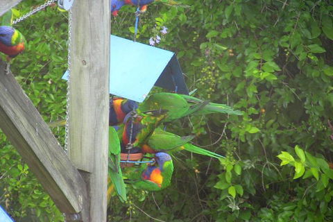 A Lakehouse Escape - Accommodation Rockhampton 4