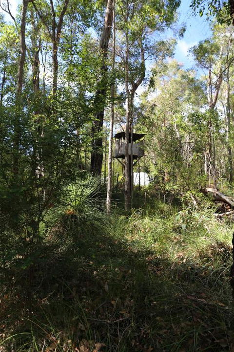 Nannup Bush Retreat - Accommodation Rockhampton 2
