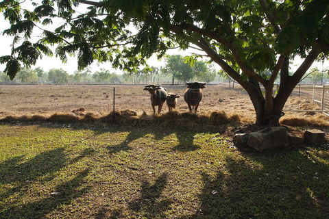 Berry Creek Bush Retreat - Accommodation Rockhampton 4