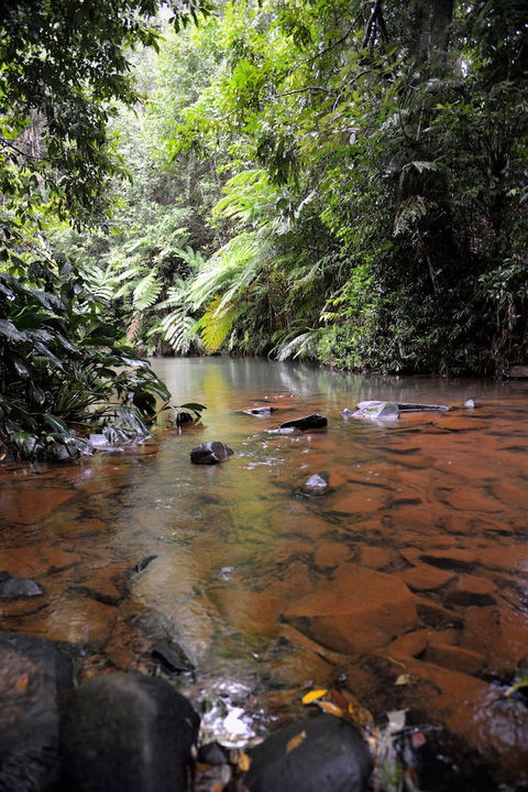Mena Creek Flower House - Accommodation Rockhampton 2