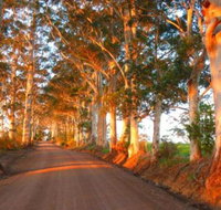 Innisfree Mountain Retreat - Accommodation Rockhampton