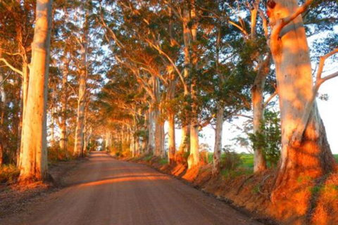 Innisfree Mountain Retreat - Accommodation Rockhampton 0