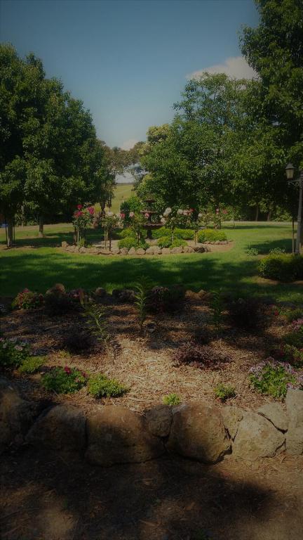Manderley Park Farmstay B & B - Accommodation Rockhampton 6