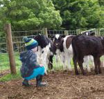 Manderley Park Farmstay B  B - Accommodation Rockhampton