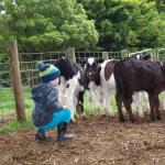 Manderley Park Farmstay B & B - Accommodation Rockhampton 0