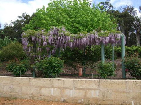 Nannup Riverview Cottage - Accommodation Rockhampton 5