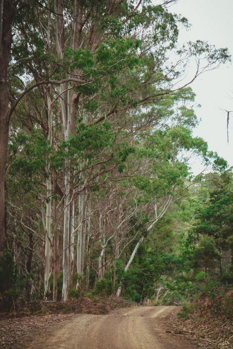 Naivasha Cottage - Accommodation Rockhampton 2