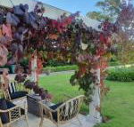 The Cottage - Accommodation Rockhampton