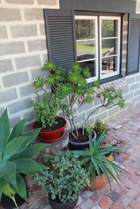 Bakehouse '38 Restaurant & Guesthouse - Accommodation Rockhampton 2