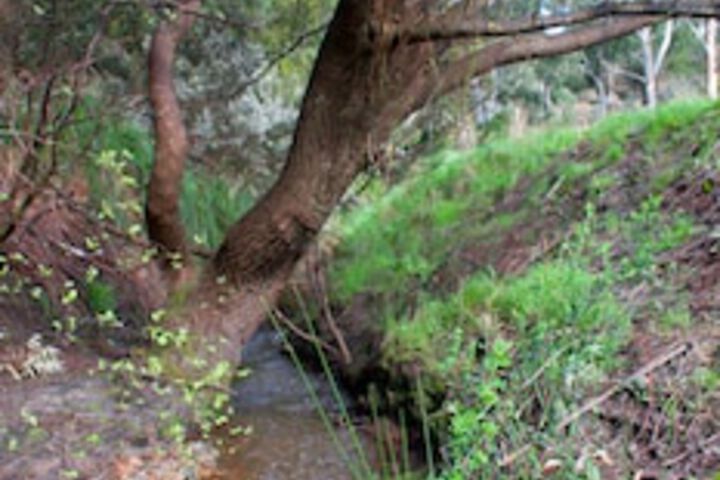 Mylor SA Accommodation Rockhampton