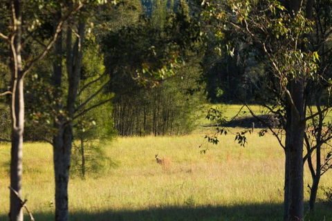 Windsors Edge Cottage Rothbury - Accommodation Rockhampton 2
