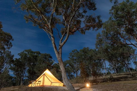 Cosy Tents - Daylesford - Accommodation Rockhampton 2