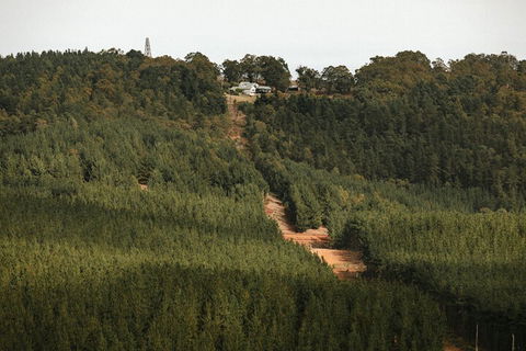 Nannup Hideaway - Accommodation Rockhampton 4