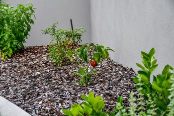 Oceanic Resort - Accommodation Rockhampton 3