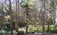 Margaret River Beach Apartments - thumb 1