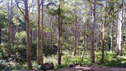 Margaret River Beach Apartments - Accommodation Rockhampton 1
