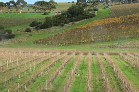 Hotel California Road Inkwell Wines - Accommodation Rockhampton 4