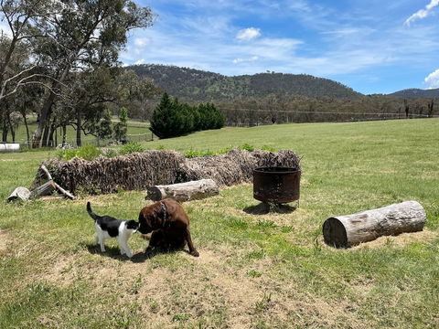 Donegal Farmstay - Accommodation Rockhampton 2